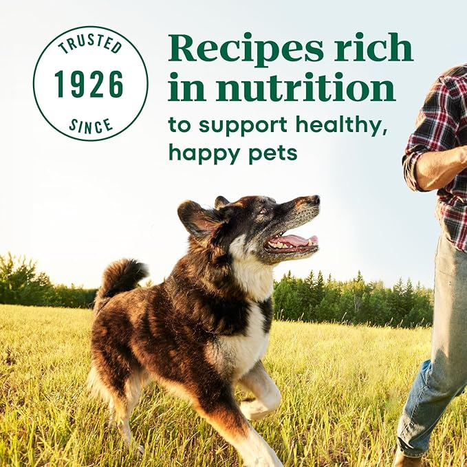 Nutro Max Dry Dog Food, Adult Dog Food Dry Recipe for Large Breeds with Farm-Raised Chicken, 36 lb. Bag