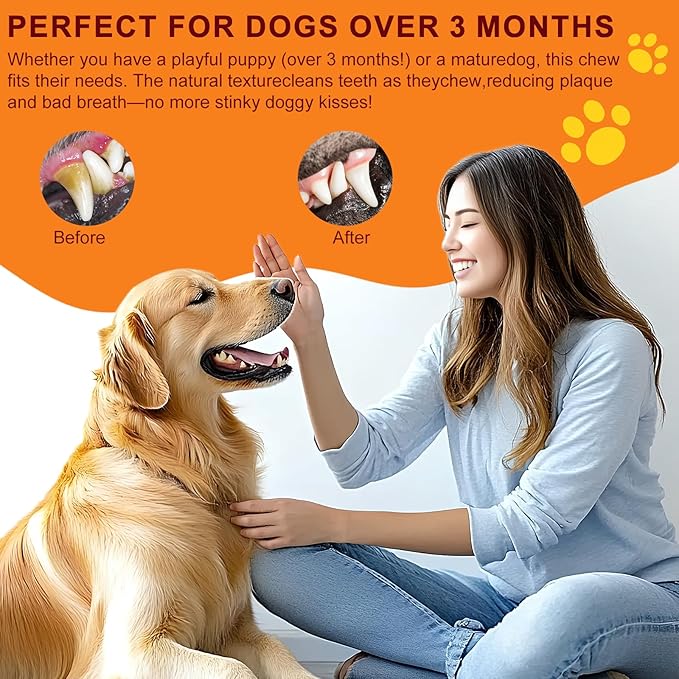 Beef Dog Chew Backbone Sticks Single Ingredient, Crispy Texture, Long-Lasting for Pet Chewing, Complete and Balanced Meal or Topper (S, Bacon)