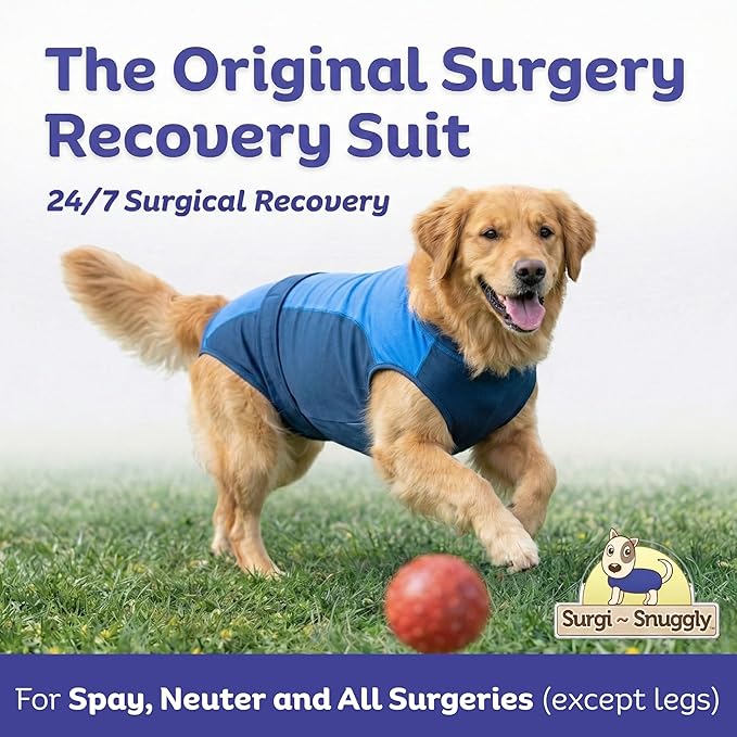 Surgi Snuggly Dog Surgery Recovery Suit - Dog Onesie for Post Surgery Recovery, Female Spay & Male Neuter - Surgical Suit for Dogs, E-Collar Cone Alternative, Double Blue - X-Large - 21" - 24" (EC)