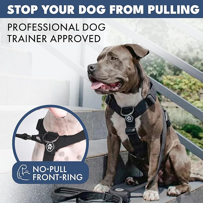Spark Paws No Pull Dog Harness with Handle for Large Dogs, Heavy Duty Dog Harness for Big Strong Breeds, Adjustable, Y Shaped Padded Halter Design with Front Clip - Black - L