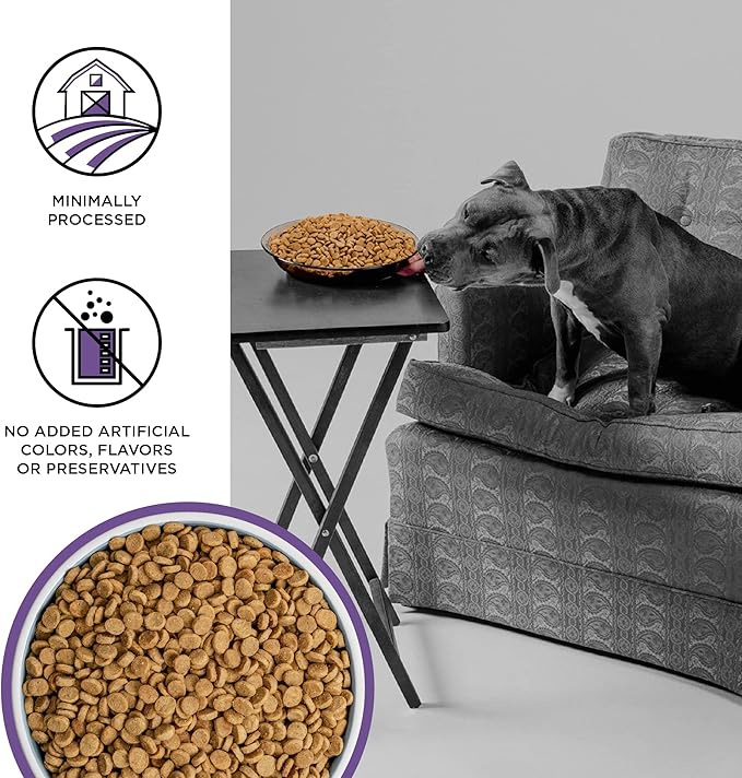 BIXBI Liberty Grain-Free Dry Dog Food, Lamb Recipe – Fresh Meat, High Protein, No Meat Meals – USA Made, 4 lbs