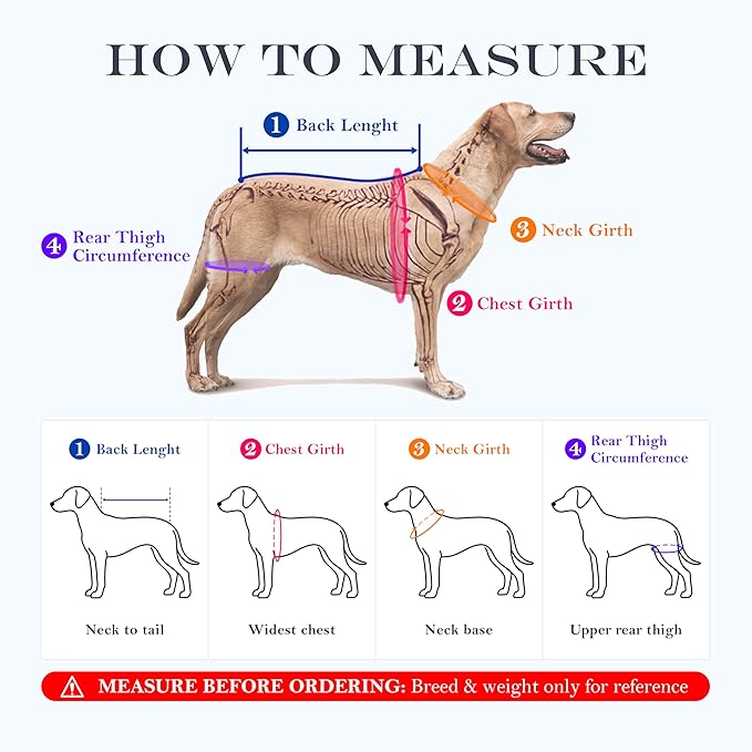 Dog Lift Harness, Full Body Support with Adjustable Control Handle for Medium Senior Dogs, Post-Surgery Recovery & Joint Problems (Oxford Cloth, M)
