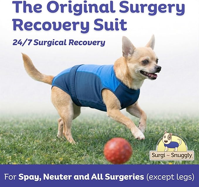 Surgi Snuggly Dog Surgery Recovery Suit - Dog Onesie for Post Surgery Recovery, Female Spay & Male Neuter, Surgical Suit for Dogs, E-Collar Cone Alternative, Double Blue - Extra Small - 10"-11.5" (EC)
