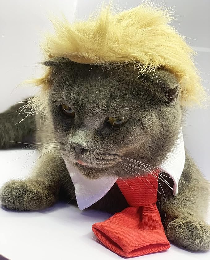Donald Trump Style Pet Costume Dog Wig, Dog Clothes with Collar and Tie Head Wear for Halloween, Party, Festivals, Christmas(Yellow)