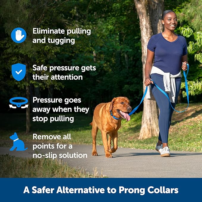 PetSafe Soft Point Training Collar - Comfortable No-Pull Adjustable Quick-Release Collar with Removable Soft Rubber Points - Pain-Free Training for Better Leash Manners - Medium - Black