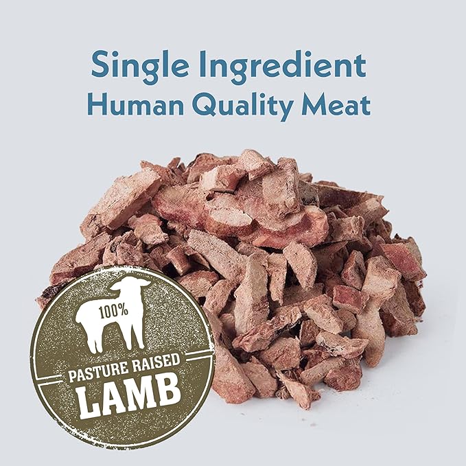 Fresh Is Best Lamb Spleen Fillets Freeze Dried Dog Treats – Raw Freeze Dried Treats for Dogs & Cats in Resealable Zipper Bag – High-Protein Single Ingredient – Made in The USA