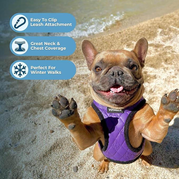 Best Pet Supplies - All Weather Plush, Reflective, No Pull Harness for Small, Medium Dogs, Cats - Secure with Hook & Loop Fastener, Buckle, Double D-Rings - Purple Faux Leather, M