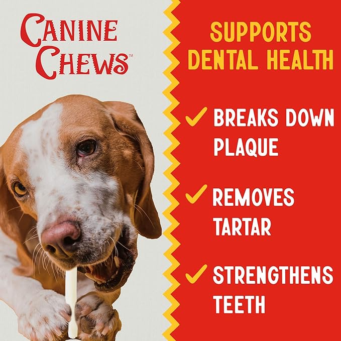 Canine Chews 10-11" Retriever Stick Rolls Rawhide for Dogs Skinny Sticks for Small Aggressive Chewing Dogs (20 Pack)