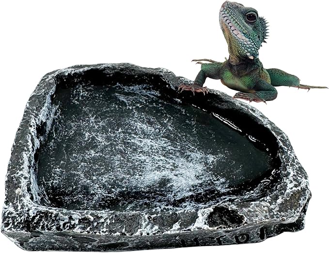 Reptile Water Dish Food Bowl, 3 Pack Reptile Feeding Bowls for Bearded Dragon Lizard Frog Gecko Tortoise Hermit Crab Snail (Black)