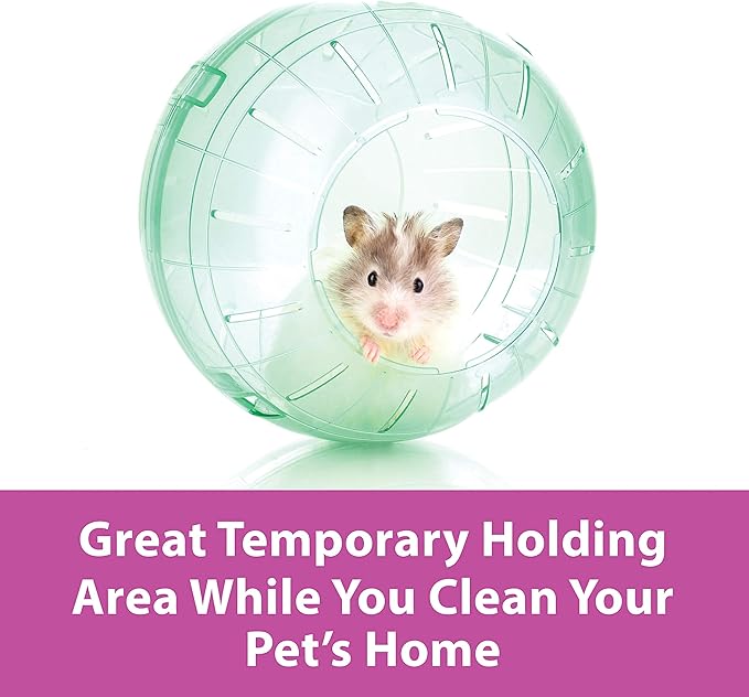 Kaytee 5" Assorted Color Run-About Exercise Ball For Pet Dwarf Hamsters & Mice