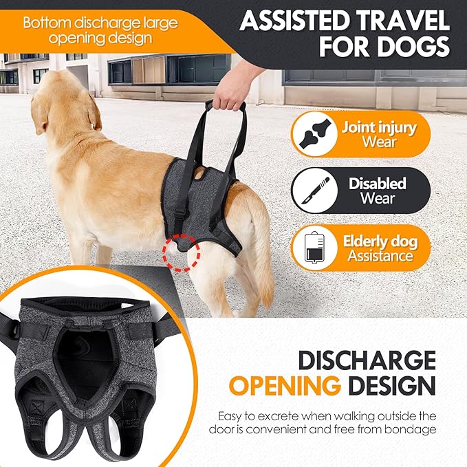 JOHNBOLIN Dog Lift Harness, Dog Sling with Padded, Hind Leg Support to Help Rehabilitate, Helps Senior, Injured, Disabled and After ACL Surgery Dogs (Dark Gray, X-Large)