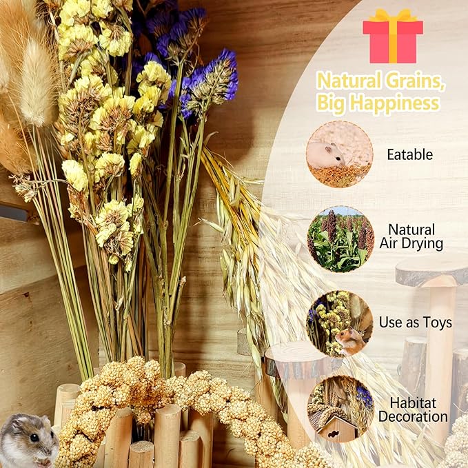 Natural Hamster Flower & Herb Habitat Deocr, Edible Hamster Sprays Flowers Bedding Mate, Hamsters Cage Enrichment Decoration Accessories for Gerbil Dwarf Syrian Hamsters Guinea Pig Mice