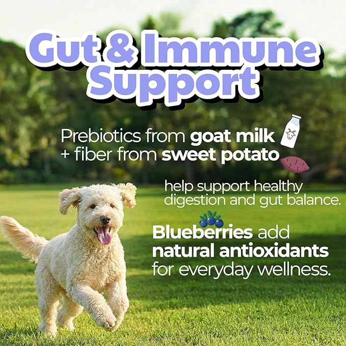 Freeze-Dried Goat Milk Dog Treats with Sweet Potato, Limited Ingredient Snack & Topper, Made in Korea, 1.76 oz (50g) (Blueberry)