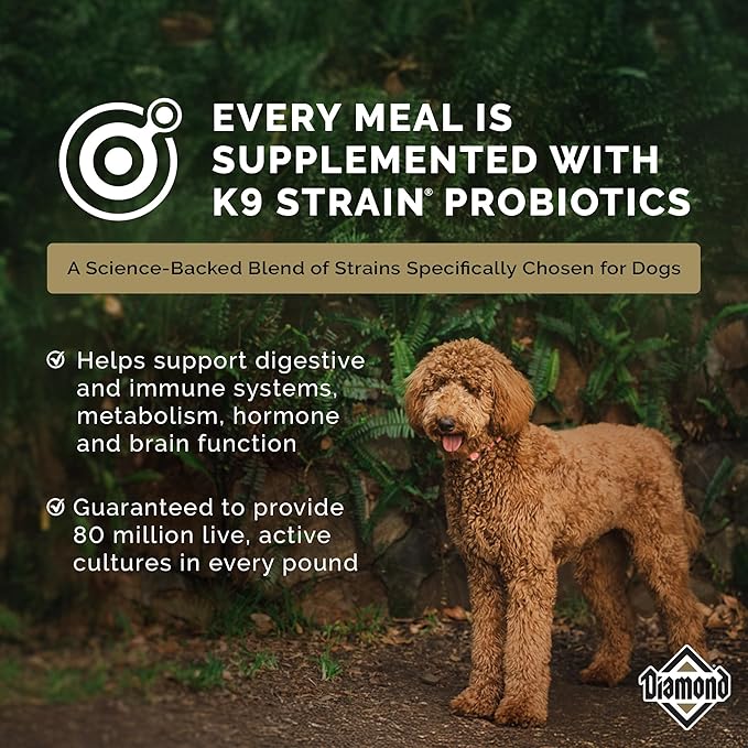 Diamond Maintenance Adult Dry Dog Food 22/12 for Moderately Active Dogs 40lb Bag
