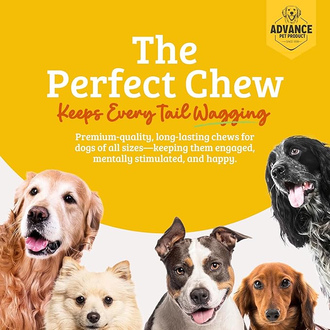 Advance Pet Products Premium 12 Inch Bully Sticks for Dogs (Pack of 5) – 100% Beef Dog Chews, Long Lasting Odor-Free Treats, High Protein, Gluten-Free, Easy to Digest for Small, Medium & Large Dogs