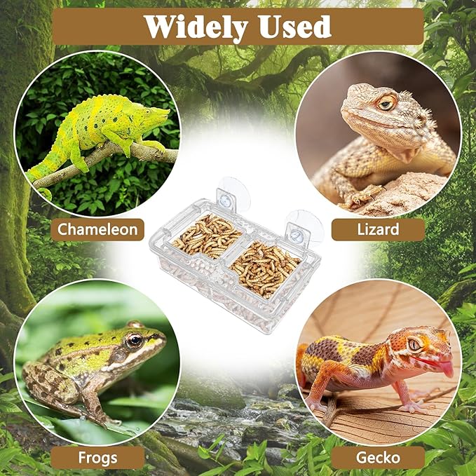 Hamiledyi Transparent Reptile Feeder with Suction Cup Separated Double Compartments Chameleon Bowl Gecko Live Worm Feeder Anti-Escape Reptile Supplies for Lizard Bearded Dragon (White, 2 Pcs)