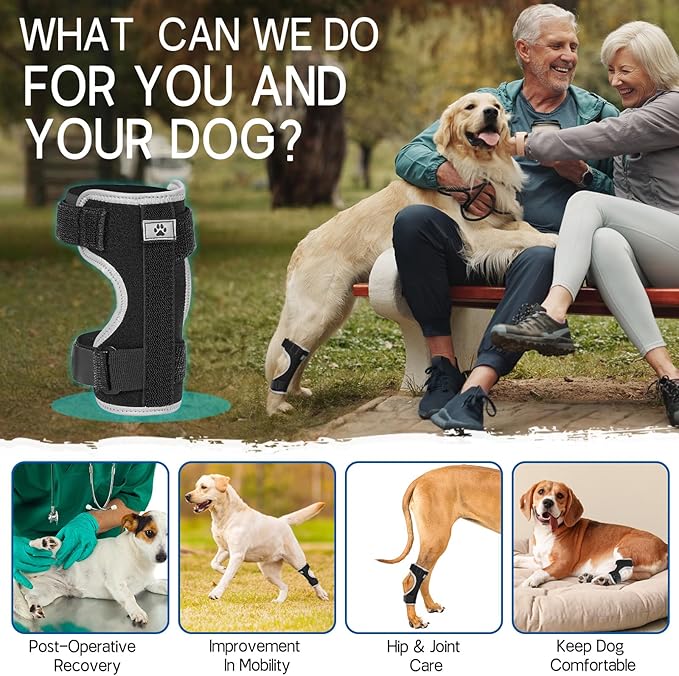 Supet Dog Leg Brace for Back Leg - Hock & Ankle Joint Support for Rear Legs with 2 Metal Springs, Anti-Slip Design & Reflective Trim for Sprain, Arthritis, Injury & Wound Recovery (Black, 2XL)