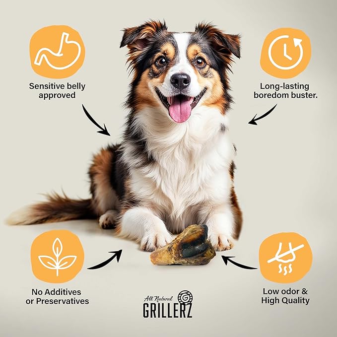 Grillerz Pork Knee Bone, 1 Count, Rawhide Free, All Natural Treat for All Breeds, High Protein, Long Lasting, Easy to Digest, For Adult Life Stage, Dog Chew for Healthy Teeth