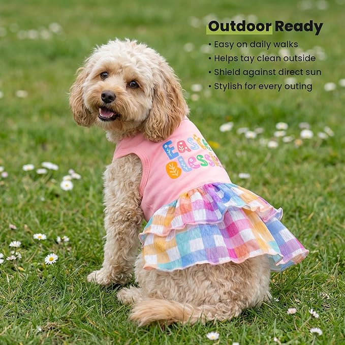 Fitwarm Easter Blessing Dog Dress, Easter Outfit for Small Dogs Girl, Colorful Pet Clothes, Pink, Blue, Orange, White, Medium