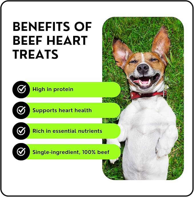 Freeze-Dried Beef Heart Dog Treats, Single Ingredient, High Protein, Grain-Free, Made in USA, Natural Training Treats for Dogs (3 oz)