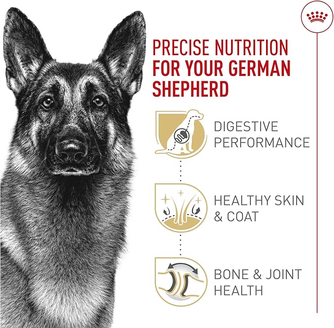 Royal Canin Breed Health Nutrition German Shepherd Adult Dry Dog Food, 17 lb Bag