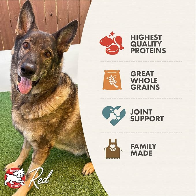 Fromm Reduced Activity Senior Gold Premium Dog Food - Senior Dry Dog Food for Medium & Small Breeds - Chicken Recipe - 15 lb