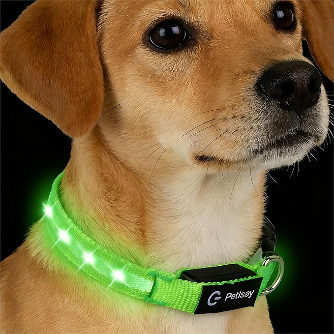 LED Dog Collar for XSmall Dogs & Toy Breeds – USB-C Rechargeable Light Up Dog Collar, Fully Waterproof Adjustable Glow Collar for Night Walking & Safety(Green,XS)