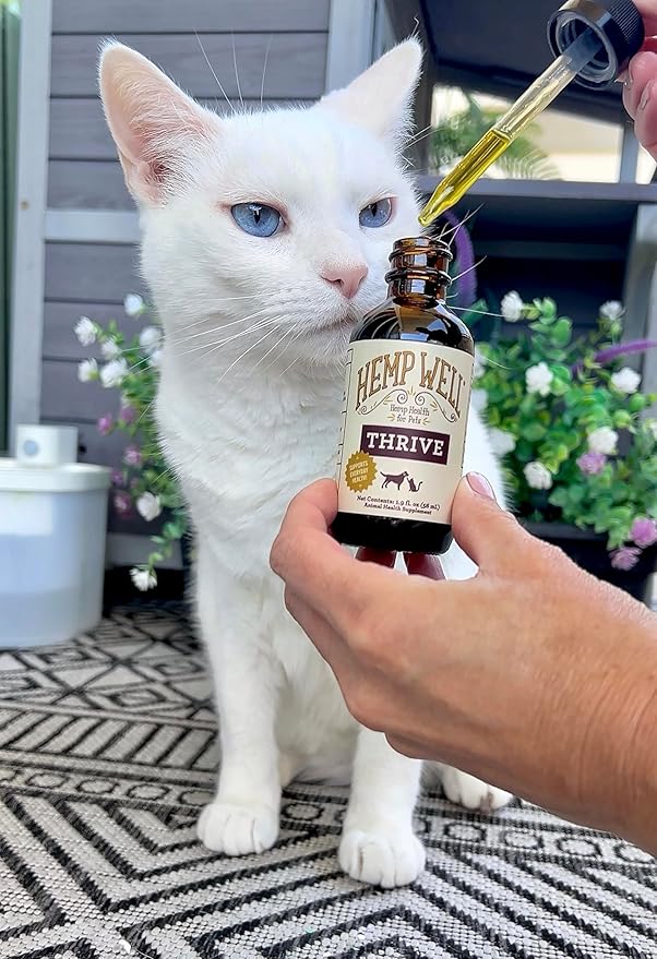Hemp Well Thrive Oil for Dogs & Cats, Organic Hemp Oil, Omega 3 & 6 Supplement for Skin & Coat, Hip & Joint, Heart & Immune Support, 2 oz