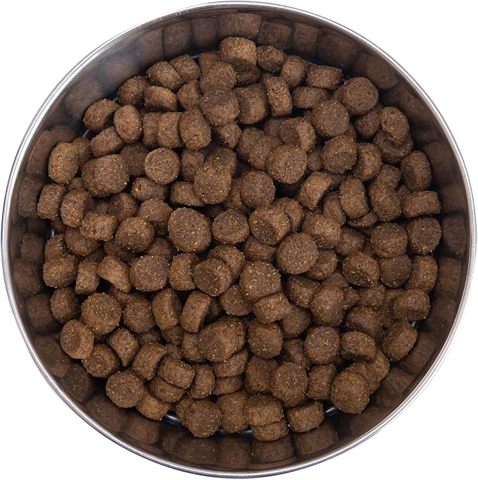 Health Extension Grain Free Chicken & Turkey Dry Dog Food - 30+ Superfoods and Probiotics for All Life Stages (10 lb)