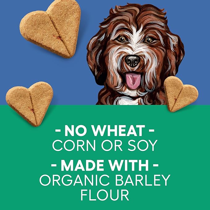 Newman's Own Turkey & Sweet Potato Dog Biscuits, 10 oz Bag (Pack of 6) — Oven Baked Crunchy Training Treats, Organic Ingredients, No Wheat Corn or Soy, Premium Quality Wholesome Dog Cookies