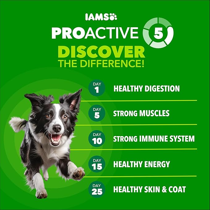 IAMS Proactive Health High Protein Dry Dog Food with Chicken & Beef, 30 lb. Bag