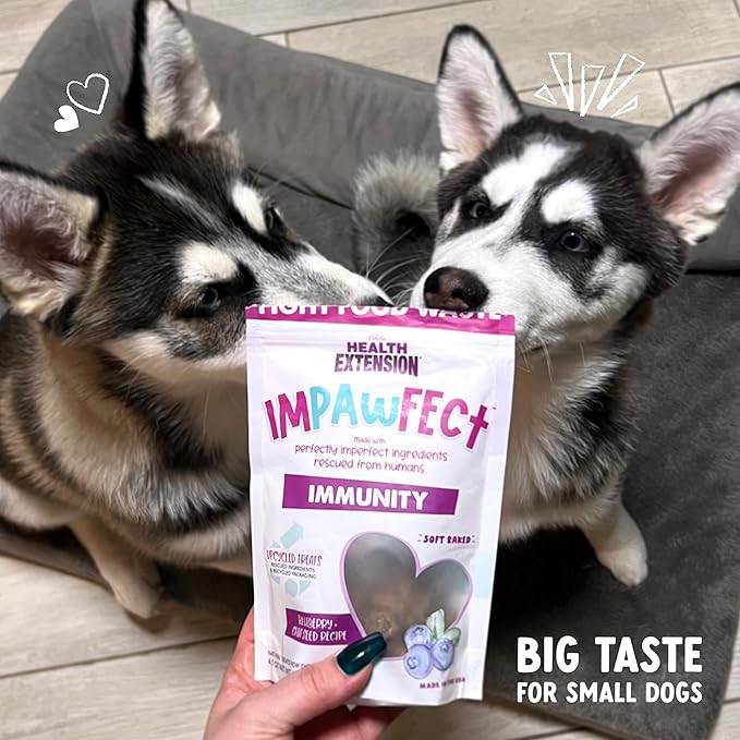 Health Extension Impawfect Dog Treats, 4.5oz (127g), Blueberry & Chia Seeds – Immunity Support, Made with Rescued Ingredients, Sustainable & Perfect for Training