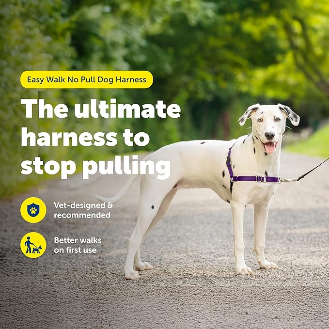 PetSafe Easy Walk Comfort No-Pull Dog Harness Full-Body Padding - Better Walks on the First Use - 5 Points of Adjustment Medium/Large, Blue