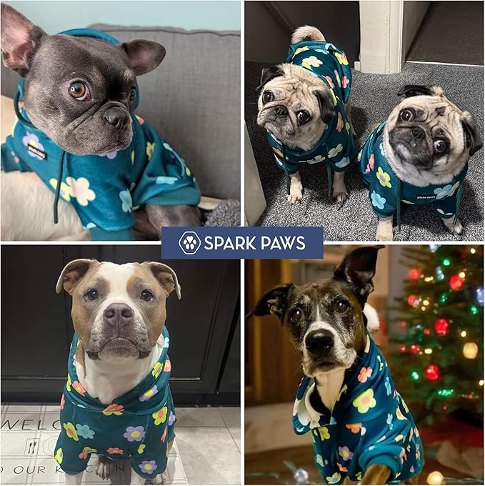 Spark Paws Dog Hoodie – Premium Dog Sweater for Small, Medium, and Large Dogs | Warm Outfits for French Bulldogs, Pitbull, Puppy, Winter Jacket Alternative - Daisy - XL