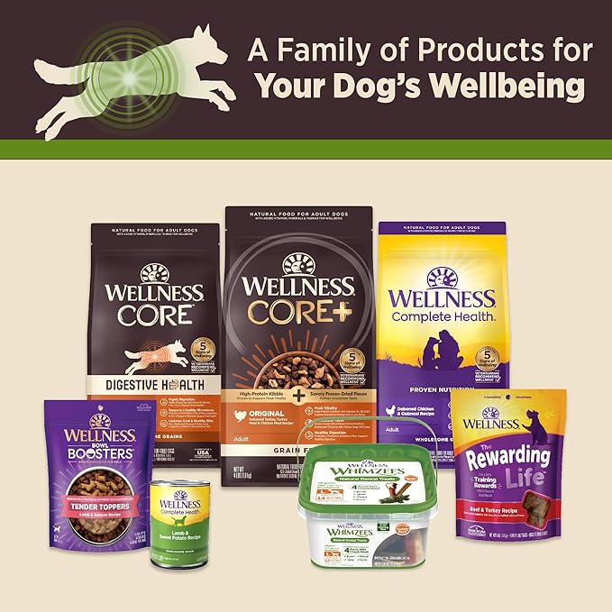 Wellness CORE Digestive Health Lamb Grain Free Wet Dog Food, 13 Ounce Can (Pack of 12)