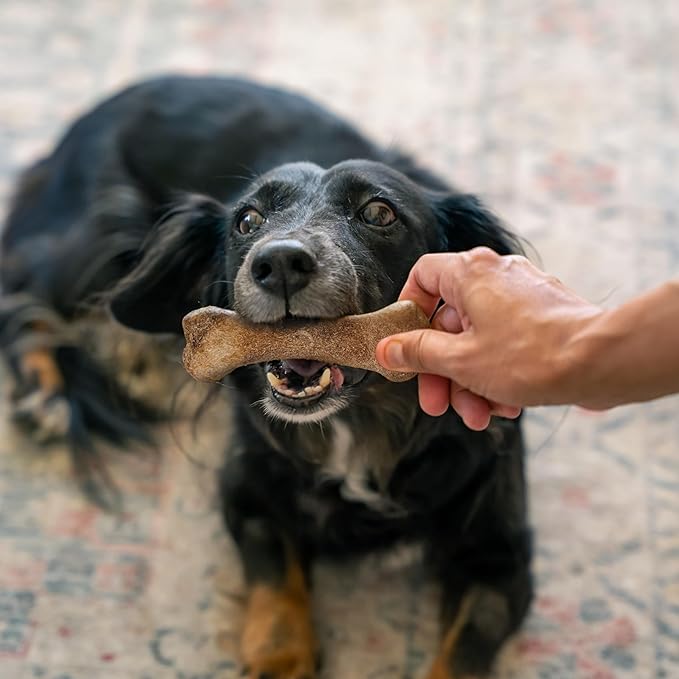 Wholesome Pride Natural & Healthy Dog Chews 2Pk for Small Dogs, Bacon Flavor, Made in the USA
