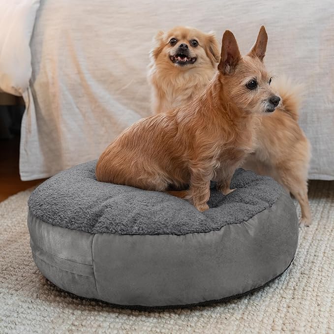 JAXX Robbi Dog Bed Bean Bag – Round Bed with Machine Washable Cover and No-Slip Base - Supportive Memory Foam for Senior Dogs & Joint Pain Relief - Ultimate Comfort & Luxury - Small, Grey/Charcoal
