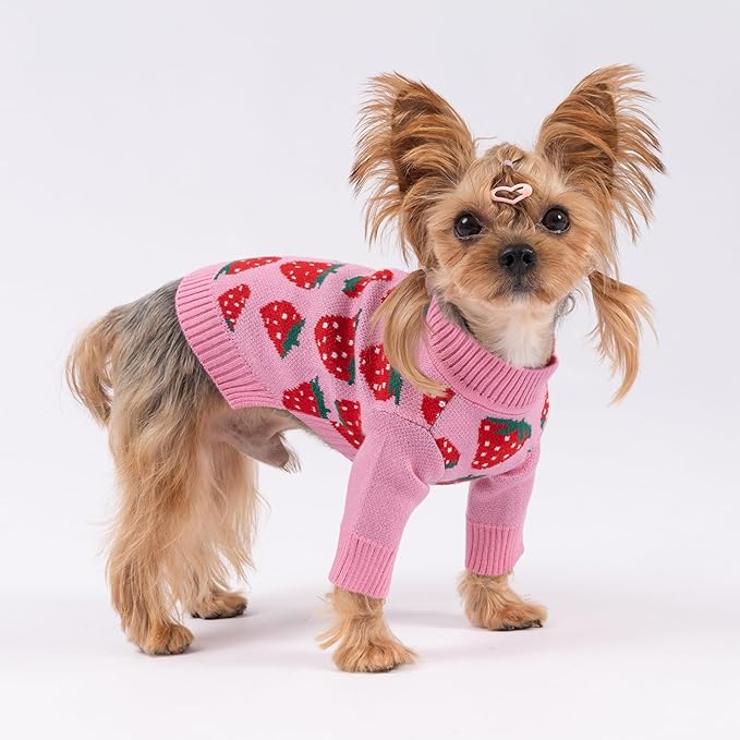 Fitwarm Adorable Strawberry Dog Sweater, Thermal Dog Winter Clothes for Small Dogs Girl, Pet Outfit, Pink, Red, White, Green, Small