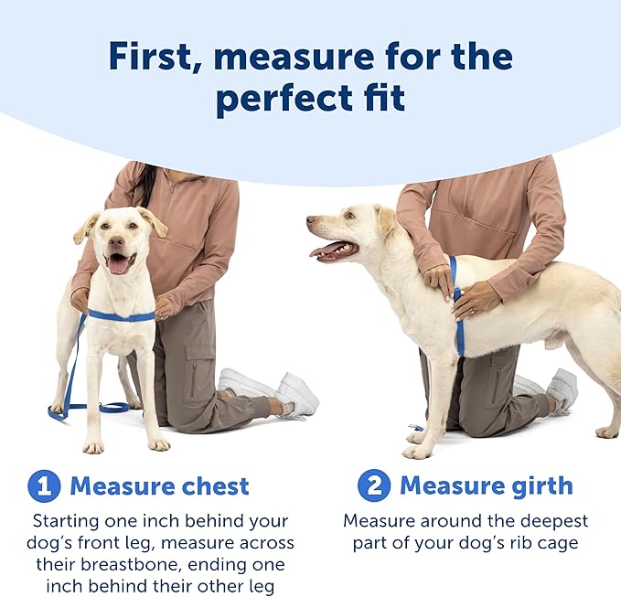 PetSafe Easy Walk Deluxe Dog Harness, No Pull Dog Harness – Perfect for Leash & Harness Training – Stops Pets from Pulling and Choking on Walks – Large, Steel