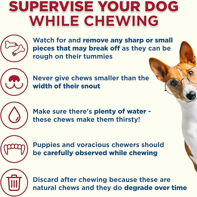 Best Bully Sticks 5-6 Inch Peanut Butter Filled Shin Bones for Dogs - 5 Count (Pack of 1) - Easily Digestible, Long-Lasting, Refillable Treat