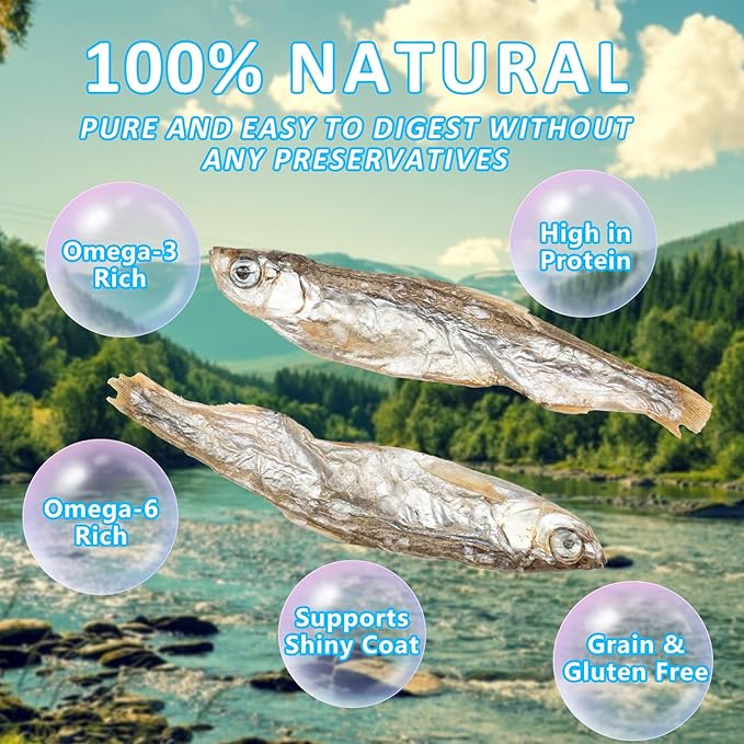 Minnows Dog Treats, 100% Natural Dried Minnows for Dog & Cat, Air Dried, Grain-Free, High-Protein, Premium Quality Cat & Dog Treats 4 oz