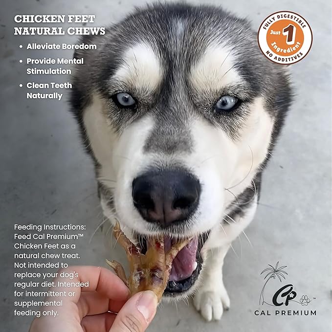 Natural Chicken Feet for Dogs - 100% USA Sourced and Made - Single Ingredient - High Protein, Low Calories - Slow-Roasted Dog Chews (100 Counts)