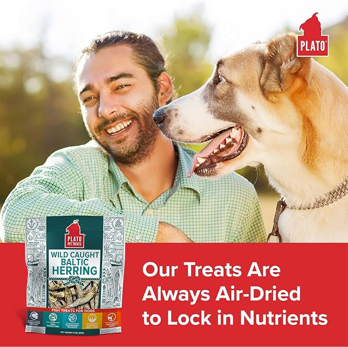 Plato Pet Treats Fish Dog Treats - Air-Dried, Single Ingredient Pet Treat - Omega 3 & 6 Fatty Acids to Support Skin and Coat - 100% Whole Fish - Wild Caught Baltic Herring - 8.5 oz - 2 Pack