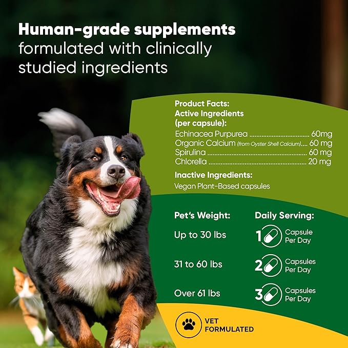 Rooted Owl Blood Support - Immunity, Recovery and Iron Supplement for Dogs & Cats - Anemia Support with Spirulina and Chlorella - 60/ct Vegan Capsules