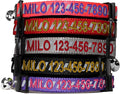 Pawtitas Personalized Cat Collar with Breakaway Safety Release Buckle Adjustable Length | Cat Collar with Custom Embroidered for Your Pet's Name and Phone Number | Grey Cat Collar with Removable Bell