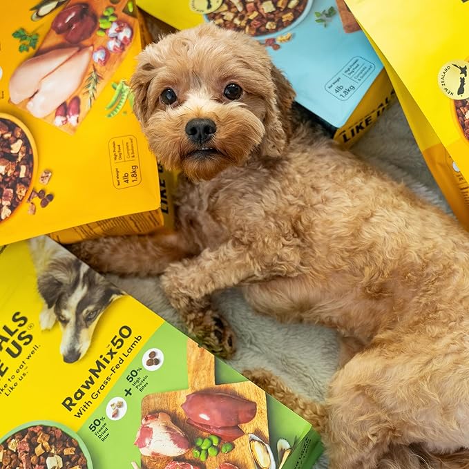 Raw Freeze Dried Dog Food RawMix50 Premium Cage-Free Chicken Recipe, Protein Rich, Includes Kibble, Non-GMO, No Wheat or Corn, 12 oz