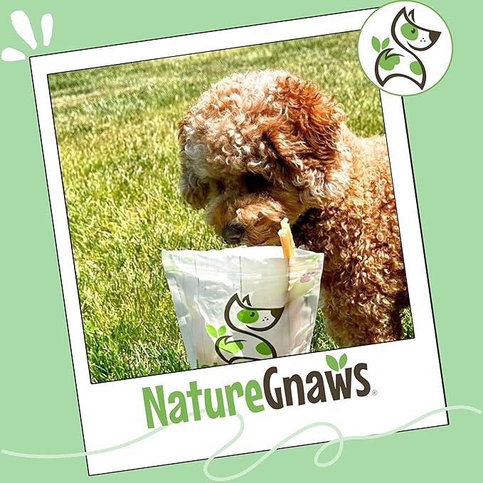 Nature Gnaws Beef Tendons for Dogs 7-11" (12 Count) - Long Lasting for Aggressive Chewers & Large Dogs - Natural Beef Jerky Dog Chew Bones - Rawhide Free