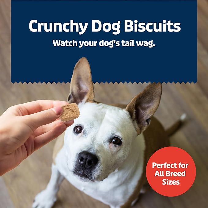 Blue Buffalo Health Bars Mini Crunchy Dog Biscuits, Oven-Baked with Natural Ingredients, Bacon, Egg & Cheese, 32-oz Bag (Pack of 2)