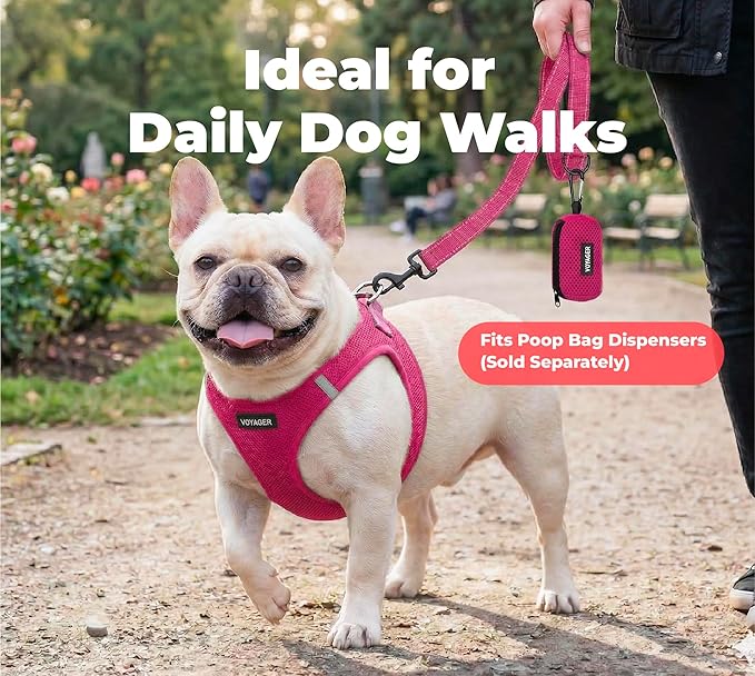 Best Pet Supplies Voyager Reflective Dog Leash or Collar with Neoprene Handle, for Small, Medium, and Large Breed Puppies, Cute and Heavy Duty for Walking, Running and Training - Fuchsia Leash, L