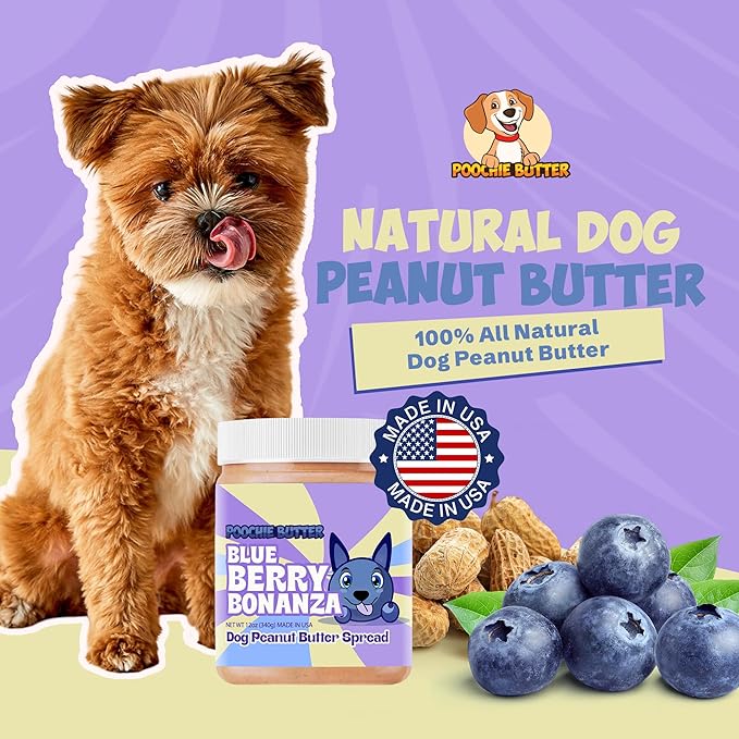 Blueberry Dog Peanut Butter - Made in USA, Creamy Spread for Lick Mats & Food Toppers - Dry Roasted Peanuts Non-GMO No Sugar Added Dog Treats | 12 oz (Pack of 2)